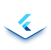 flutter image